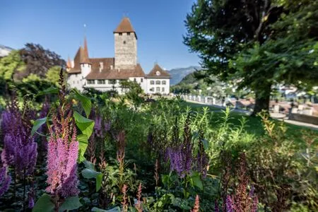Gartentag im Schloss